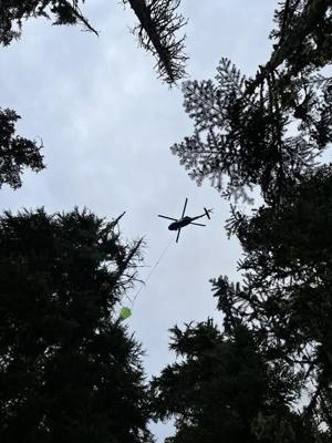 68b629d9b780f.image.jpg | Fox 11 Tri Cities Fox 41 Yakima