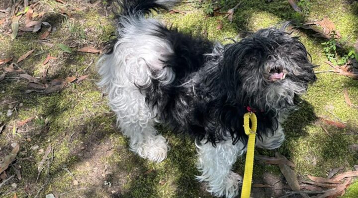 SummerStormKingery-1-720x399.jpg | Fox 11 Tri Cities Fox 41 Yakima