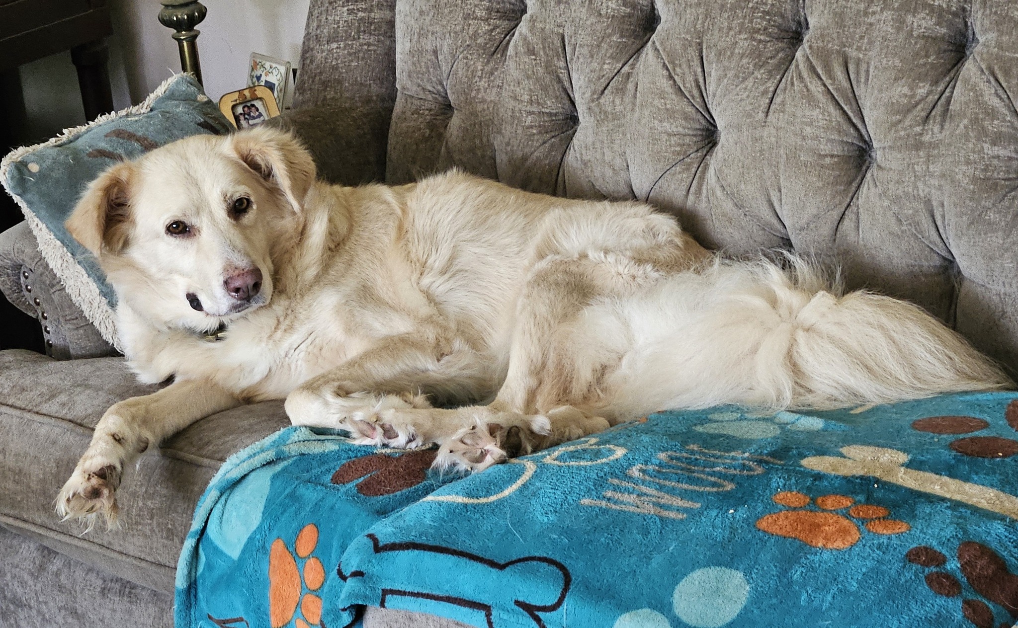 | Fox 11 Tri Cities Fox 41 Yakima