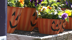 68e1ae245ee4cimagepng | Fox 11 Tri Cities Fox 41 Yakima