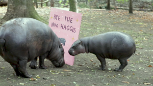 68fa58135a496imagepng | Fox 11 Tri Cities Fox 41 Yakima