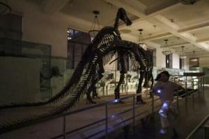 In New York, a night at the museum — five years in the making