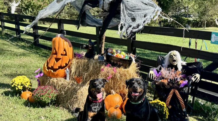 Aggregator Downloaded image for imported item 933035 | Fox 11 Tri Cities Fox 41 Yakima