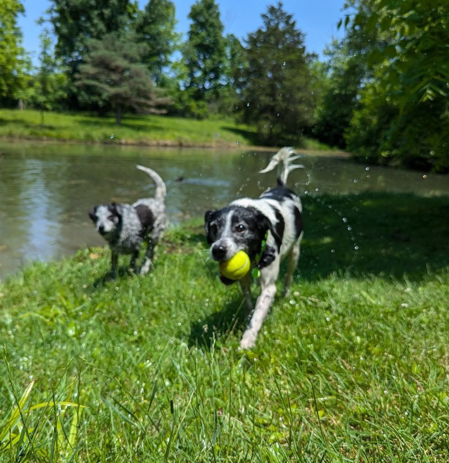 ErinSaywell2 | FOX 28 Spokane