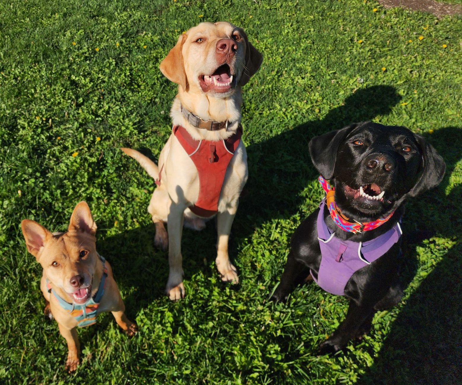 GraceLinden | FOX 28 Spokane