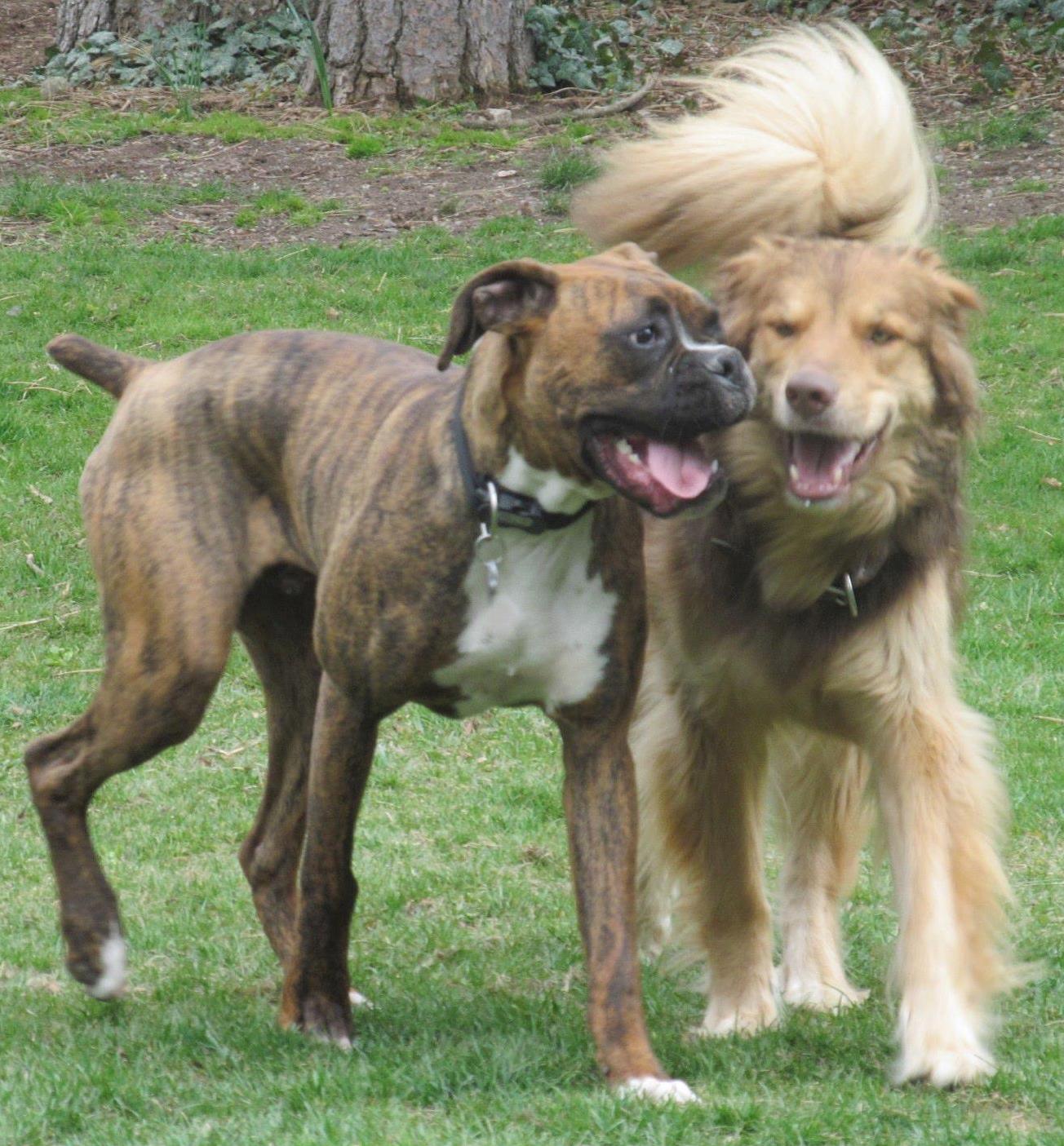 ValHughesMaxSmudge | FOX 28 Spokane