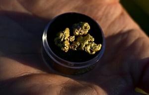 High price of gold inspires new rush in California