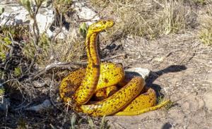 6908ce108fd01imagejpg | Fox 11 Tri Cities Fox 41 Yakima