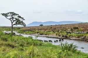 691166ee787b9imagejpg | Fox 11 Tri Cities Fox 41 Yakima