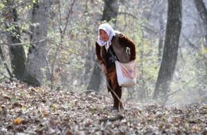 691585cc95461imagejpg | Fox 11 Tri Cities Fox 41 Yakima