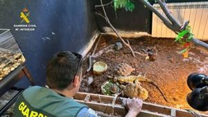 6918b544727ebimagejpg | Fox 11 Tri Cities Fox 41 Yakima