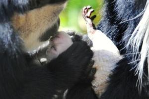 691ded60cbe2fimagejpg | Fox 11 Tri Cities Fox 41 Yakima