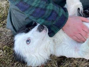 691e28eb47e0eimagejpg | Fox 11 Tri Cities Fox 41 Yakima