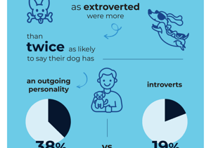 8 in 10 dog owners swear their pet’s personality mirrors their own