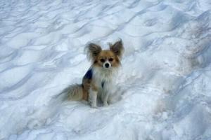 69258ffc1b0b6imagejpg | Fox 11 Tri Cities Fox 41 Yakima