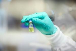 692d874abb5b0imagejpg | Fox 11 Tri Cities Fox 41 Yakima