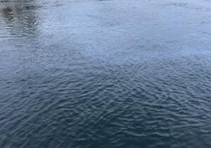 693131f311a5bimagejpg | Fox 11 Tri Cities Fox 41 Yakima