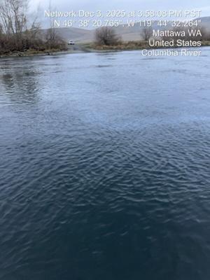 693131f311a5bimagejpg | Fox 11 Tri Cities Fox 41 Yakima