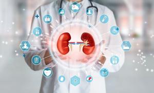 Poor Kidney Health Might Influence Dementia, Alzheimer’s Risk