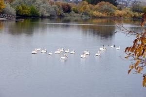 6938c2796673eimagejpg | Fox 11 Tri Cities Fox 41 Yakima