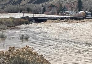 6938c83ccf746imagejpg | Fox 11 Tri Cities Fox 41 Yakima