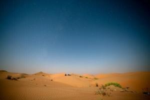 6938f3cacba66imagejpg | Fox 11 Tri Cities Fox 41 Yakima