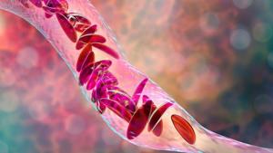 69396b56978bbimagejpg | Fox 11 Tri Cities Fox 41 Yakima