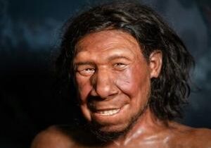 69399d3204861imagejpg | Fox 11 Tri Cities Fox 41 Yakima