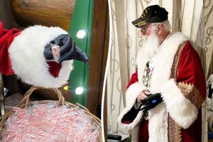 693b03b3ad224imagejpg | Fox 11 Tri Cities Fox 41 Yakima