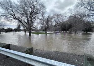 693b2291ef103imagejpg | Fox 11 Tri Cities Fox 41 Yakima