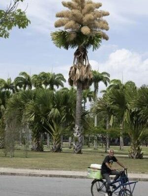 693b50a8736baimagejpg | Fox 11 Tri Cities Fox 41 Yakima