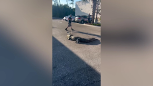 693c3c42ae236imagepng | Fox 11 Tri Cities Fox 41 Yakima