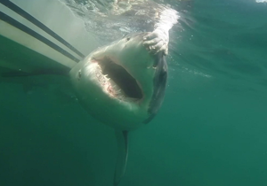 693c62d3b45f2imagepng | Fox 11 Tri Cities Fox 41 Yakima