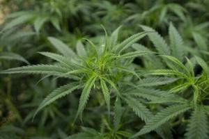 69408866f0b5dimagejpg | Fox 11 Tri Cities Fox 41 Yakima