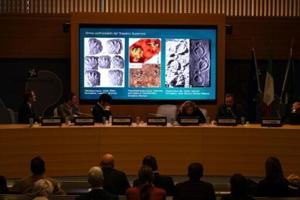 ‘Immense’ collection of dinosaur footprints found in Italy