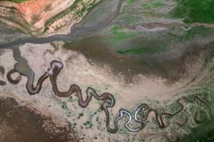 6941a260ea80fimagejpg | Fox 11 Tri Cities Fox 41 Yakima