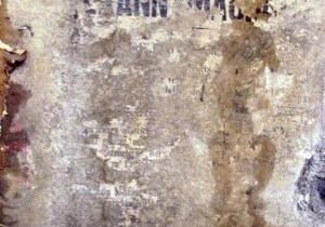 Frenchwoman accused of libel over Nazi ‘collaborator’ family novel