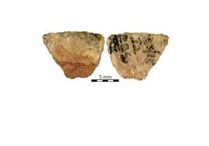 World’s oldest poisoned arrows identified