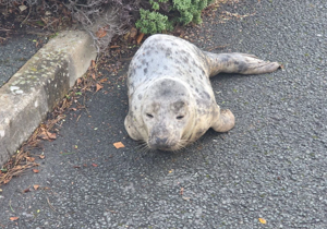 69653351888e7imagepng | Fox 11 Tri Cities Fox 41 Yakima