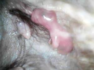 6967ba0f0bae1imagejpg | Fox 11 Tri Cities Fox 41 Yakima