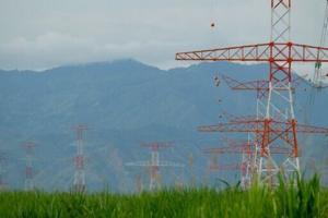 6972a1bf83c93imagejpg | Fox 11 Tri Cities Fox 41 Yakima