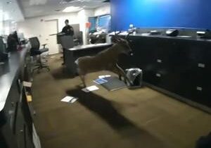 6973ad0501330imagejpg | Fox 11 Tri Cities Fox 41 Yakima