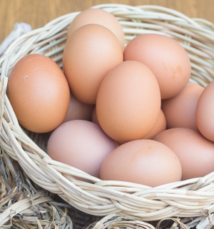 Aggregator Downloaded image for imported item 932682 | Fox 11 Tri Cities Fox 41 Yakima