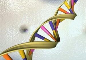 Google unveils AI tool probing mysteries of human genome