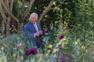 King Charles III warns world ‘going backwards’ in climate fight