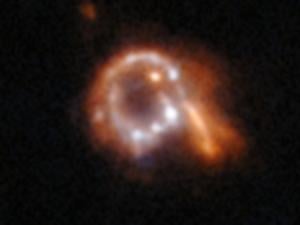 697a55c1392e4imagejpg | Fox 11 Tri Cities Fox 41 Yakima