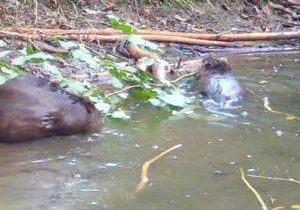 697bcaaa2052aimagejpg | Fox 11 Tri Cities Fox 41 Yakima