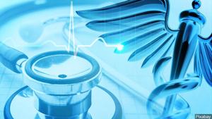 5dd31f2dbfd69imagejpg | Fox 11 Tri Cities Fox 41 Yakima