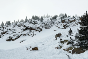 Aggregator Downloaded image for imported item 934748 | Fox 11 Tri Cities Fox 41 Yakima