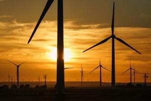 6980dc1a6a9e5imagejpg | Fox 11 Tri Cities Fox 41 Yakima